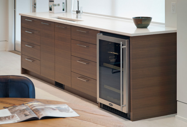 Kitchen contemporary-kitchen