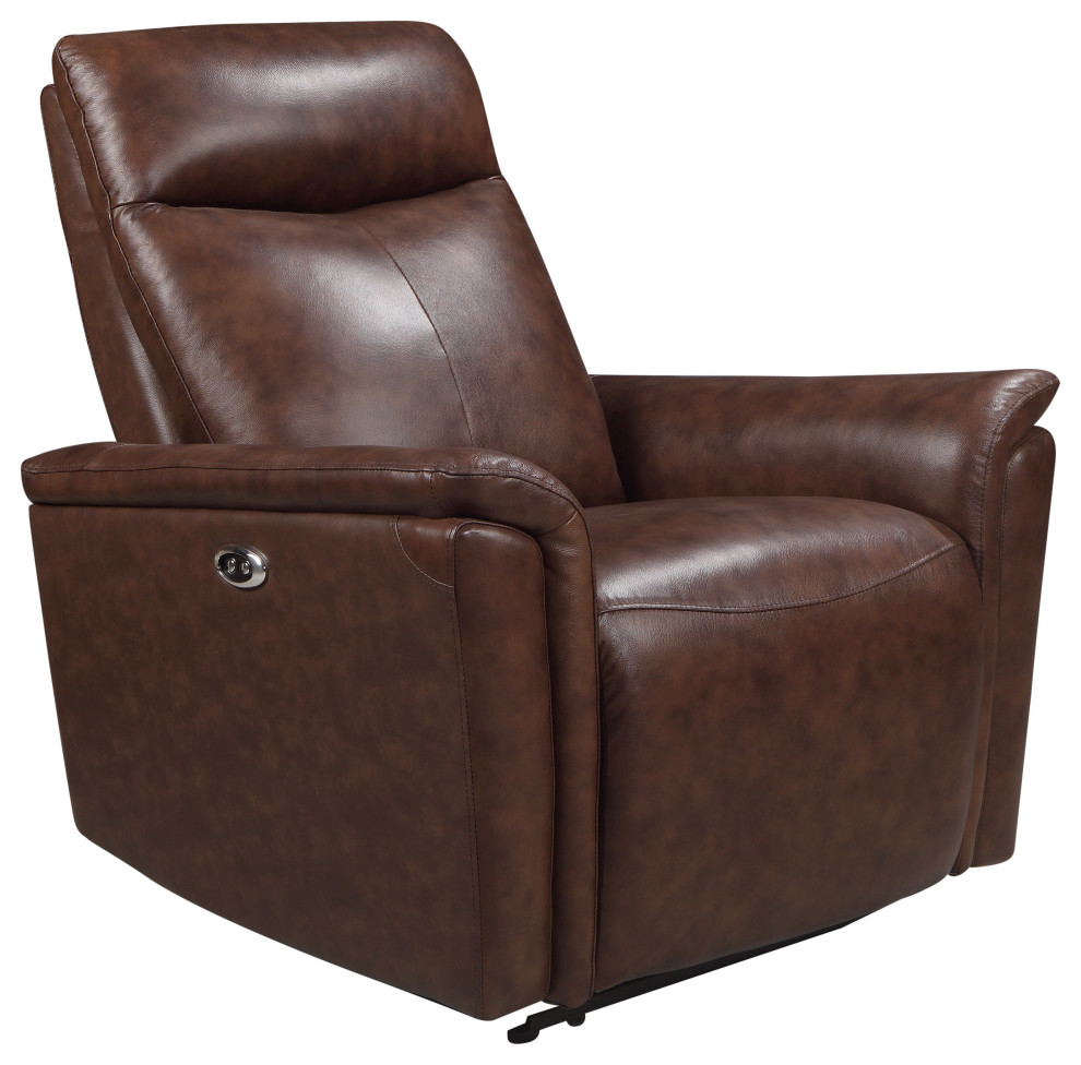 Reanne Leather Power Recliner, Brown Contemporary Recliner Chairs by Abbyson Home Houzz