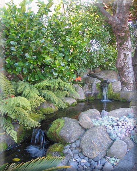 Design ideas for a mid-sized tropical courtyard partial sun garden in Auckland with a water feature.