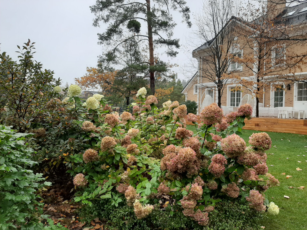 "Fairy Garden.Сад под дубами"