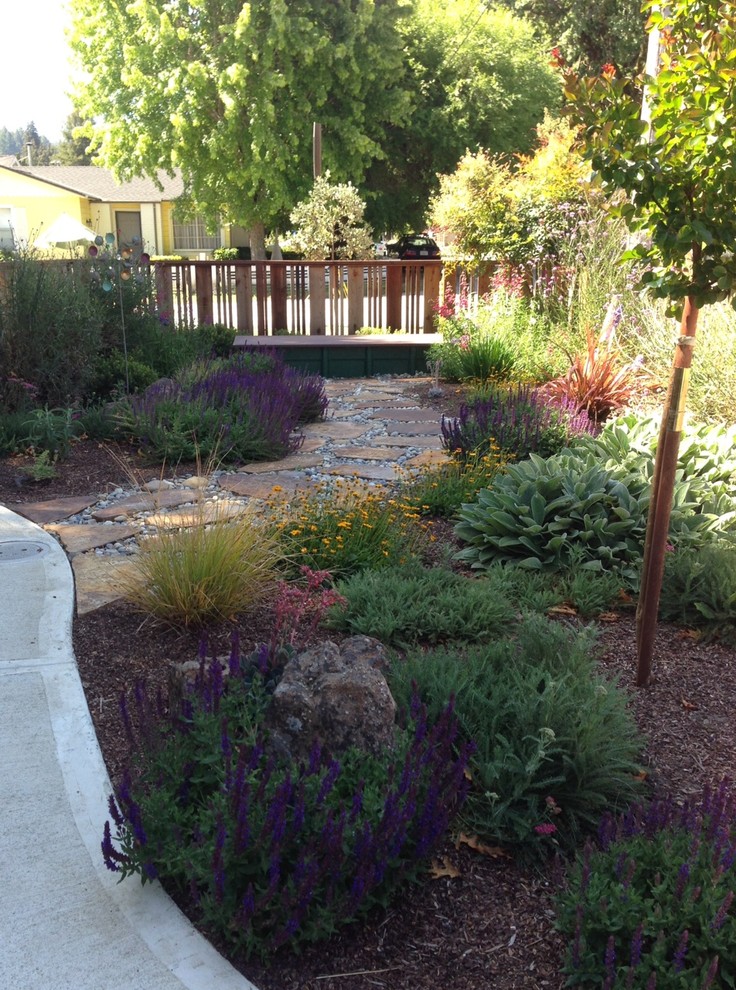 Design ideas for a small country front yard full sun garden in San Francisco with a garden path and natural stone pavers.
