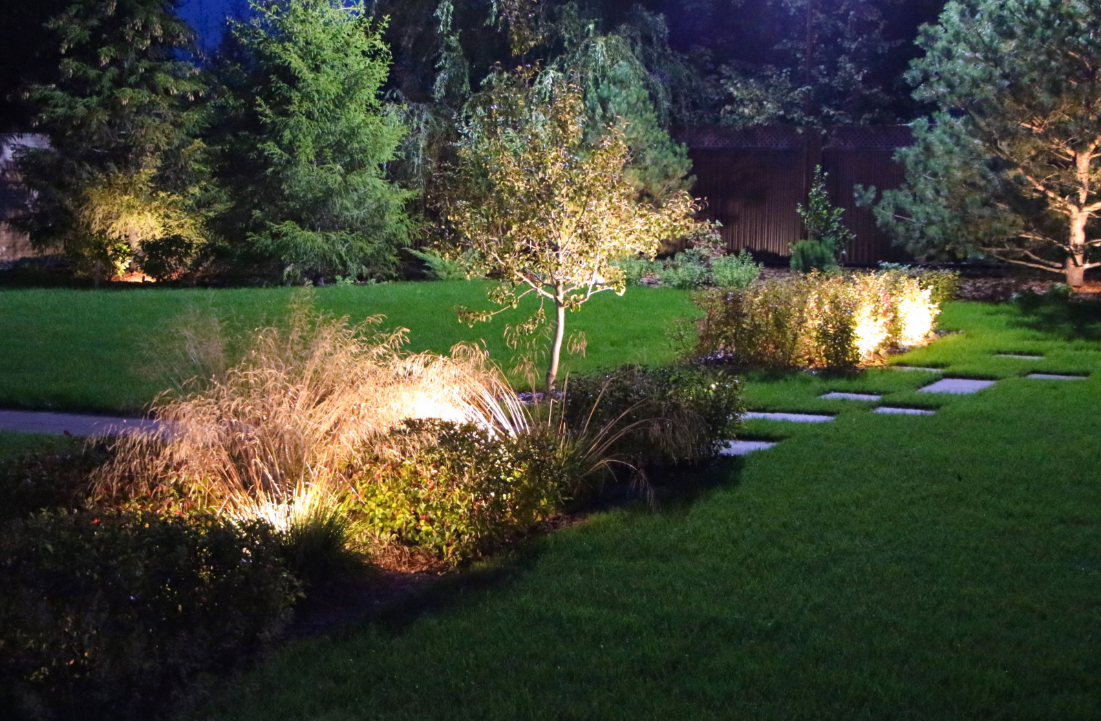 Петровское, ночной сад, 2018-2020 гг.