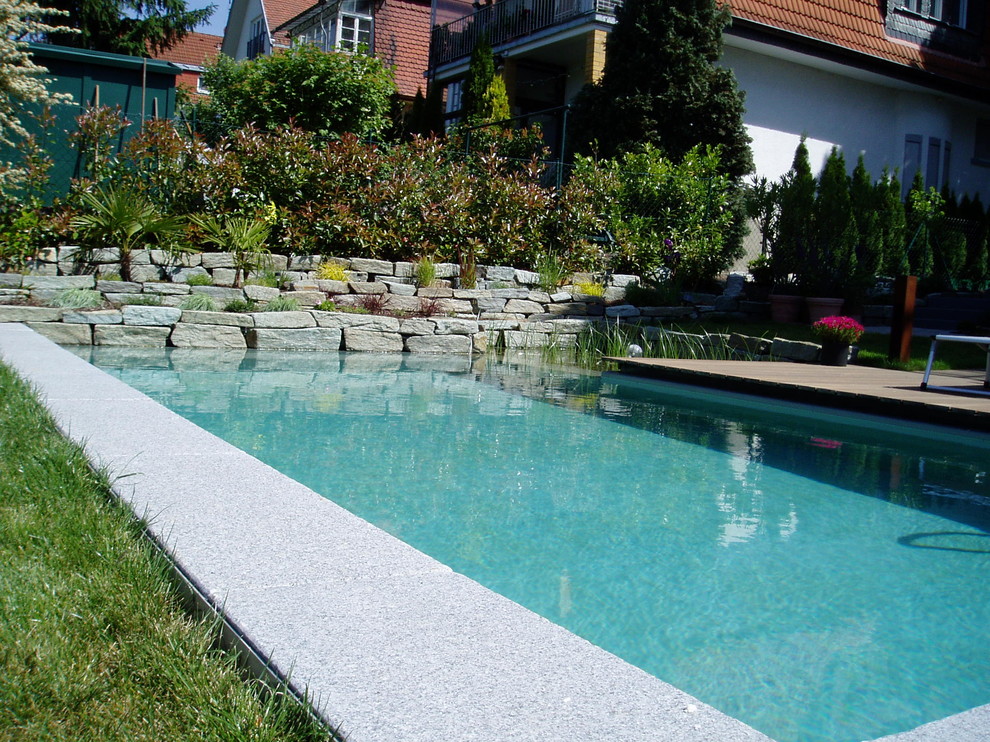 This is an example of a contemporary rectangular natural pool in Frankfurt with decking.