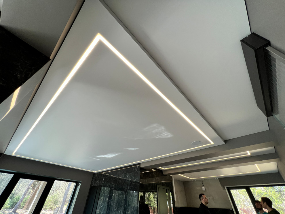 Парящий потолок в Частном Доме. Садки