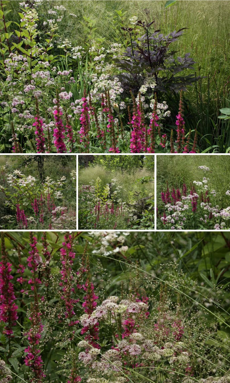 Авторские цветники