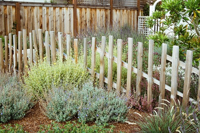 Carmel contemporary-garden