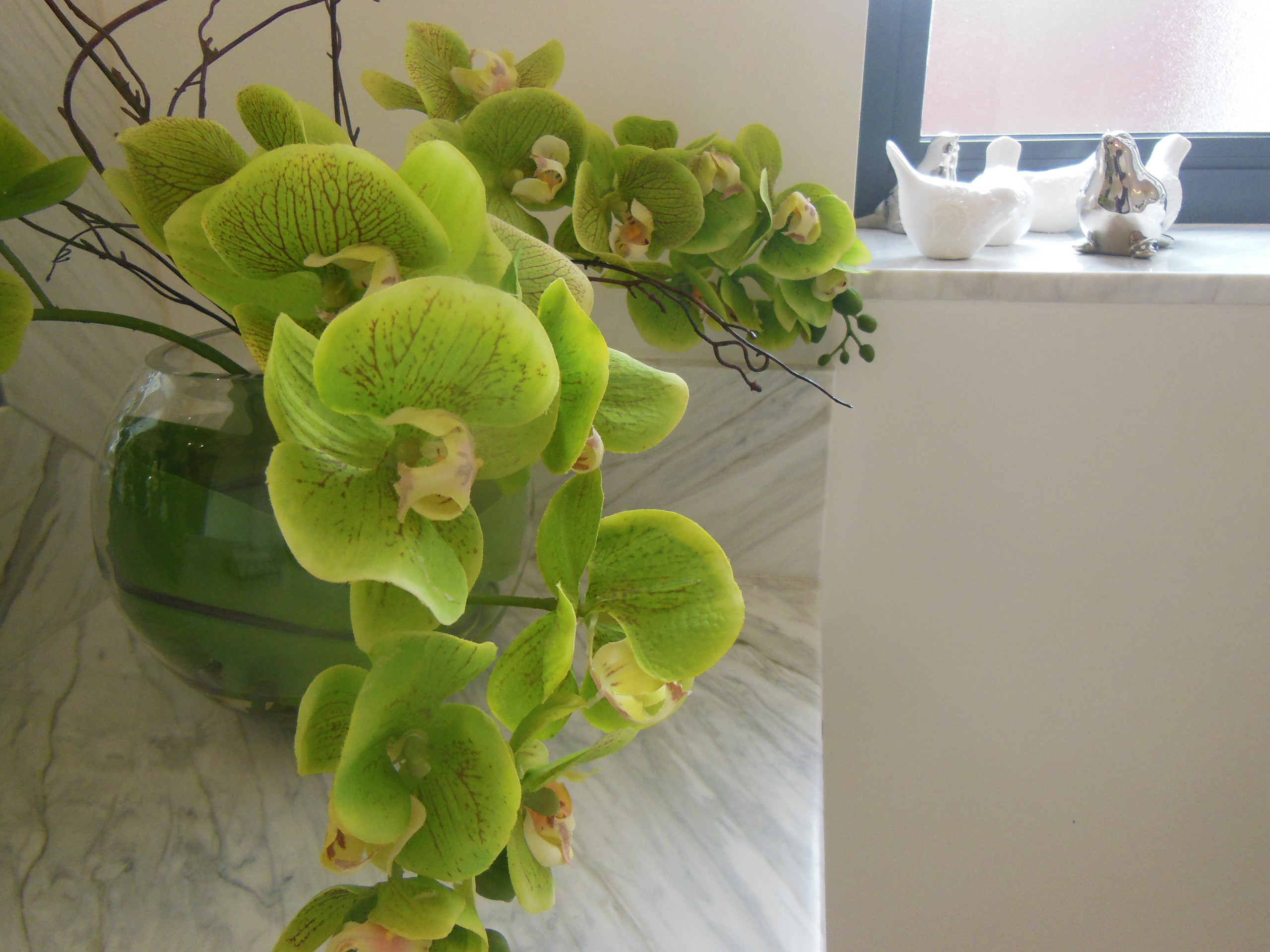 Show Home Northwest London