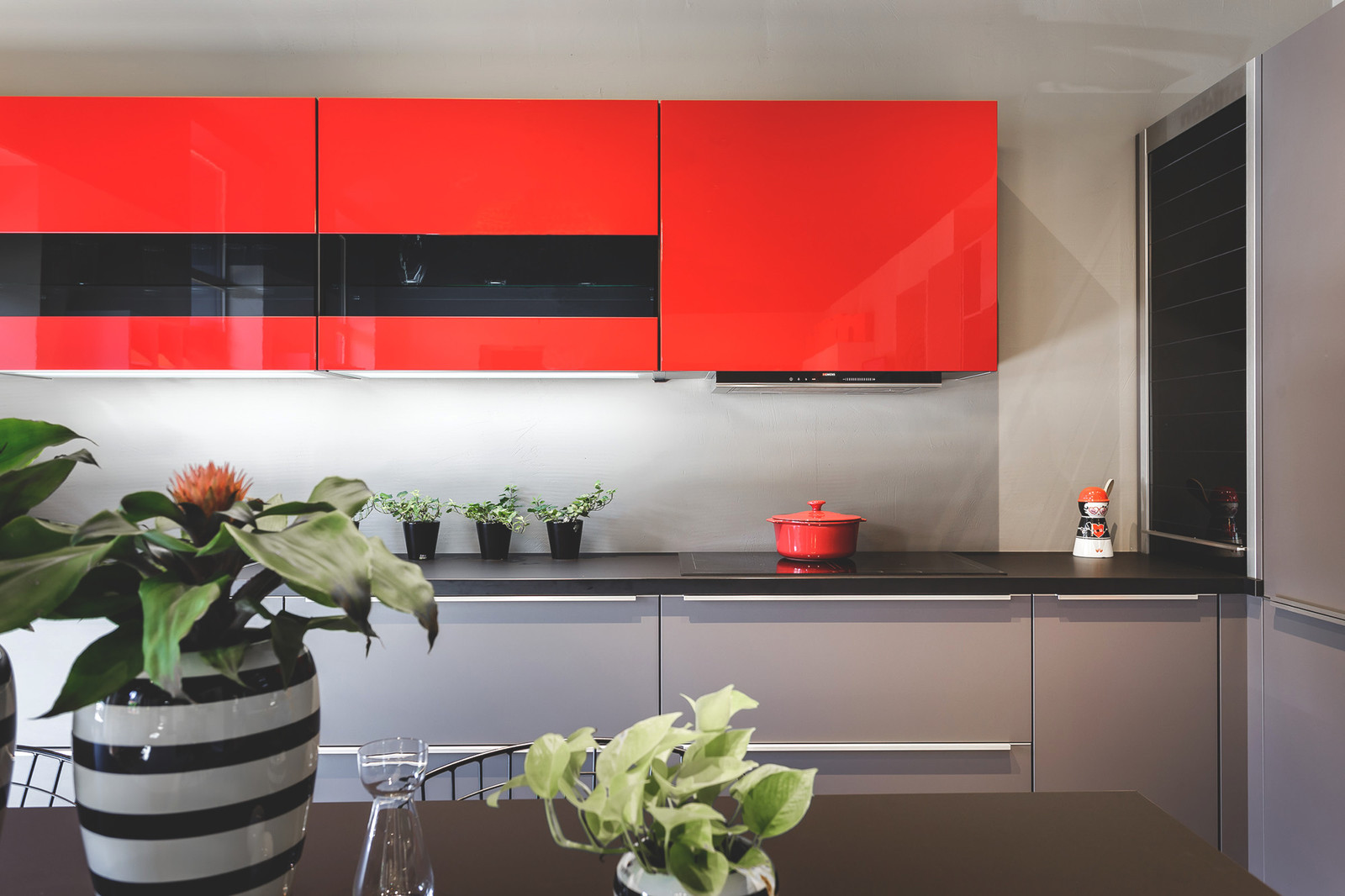 Реализованные нами проекты - Nobilia Laser