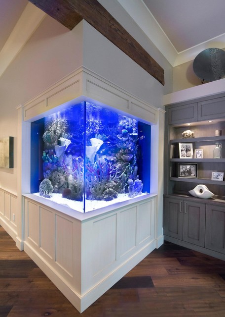 Contemporary Residential Home W Integrated Aquarium