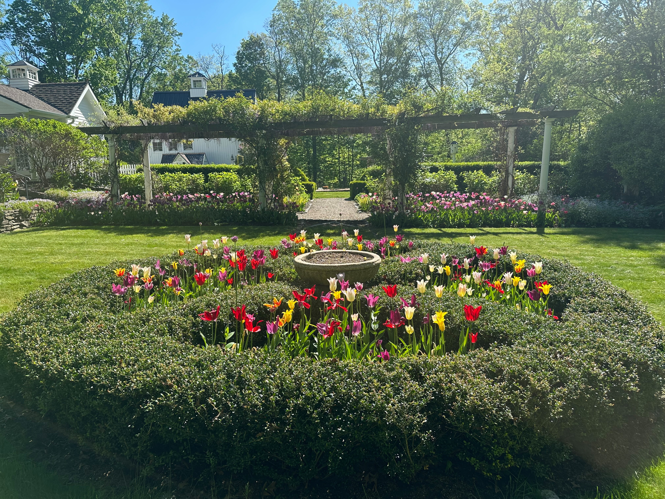 Tulip Parade Planted on Estate in Redding, CT by Peter Atkins and Associates