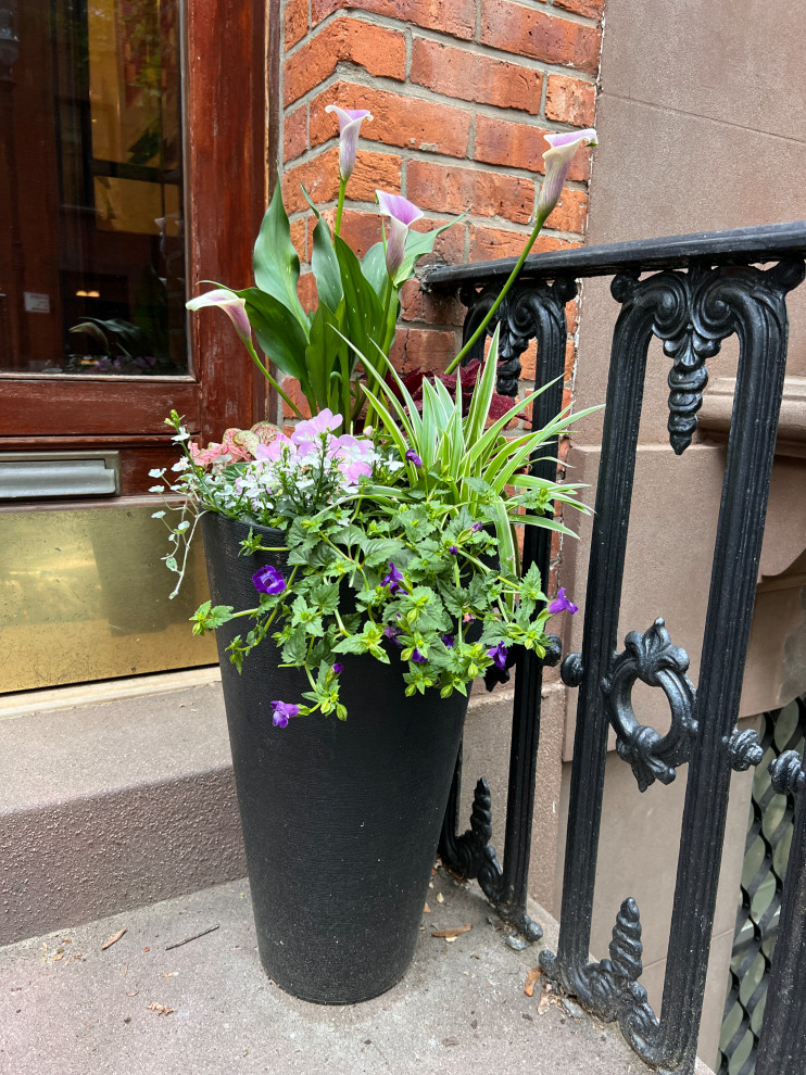 Brooklyn Heights reno