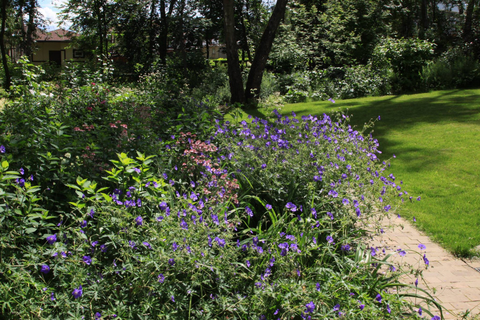 Проект "Волны". Дом у воды