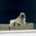 ashish_java81
