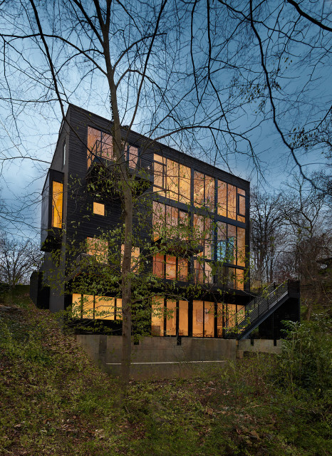 Franzen House modern-fasad