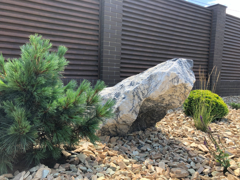 Проект «Новый свет»