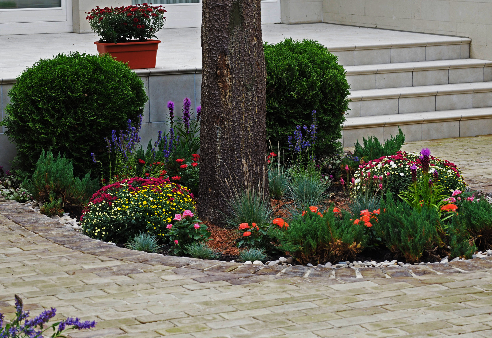 Проект Грибово