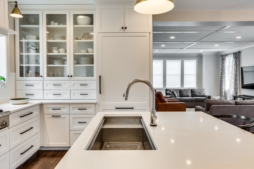 Kitchen - transitional kitchen idea in Chicago