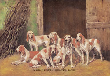 Porcelaine or Franche Comet Hounds 20x30 poster