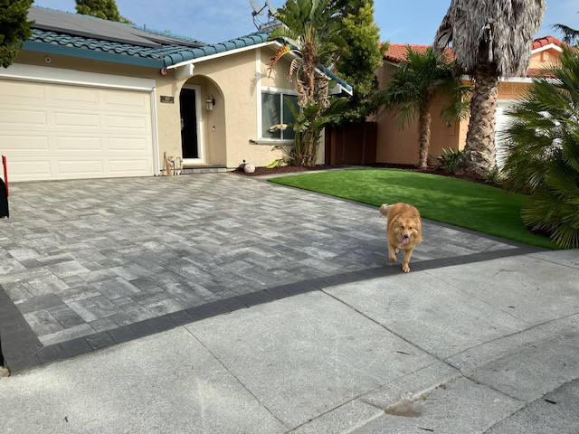 Play Area & Pavers