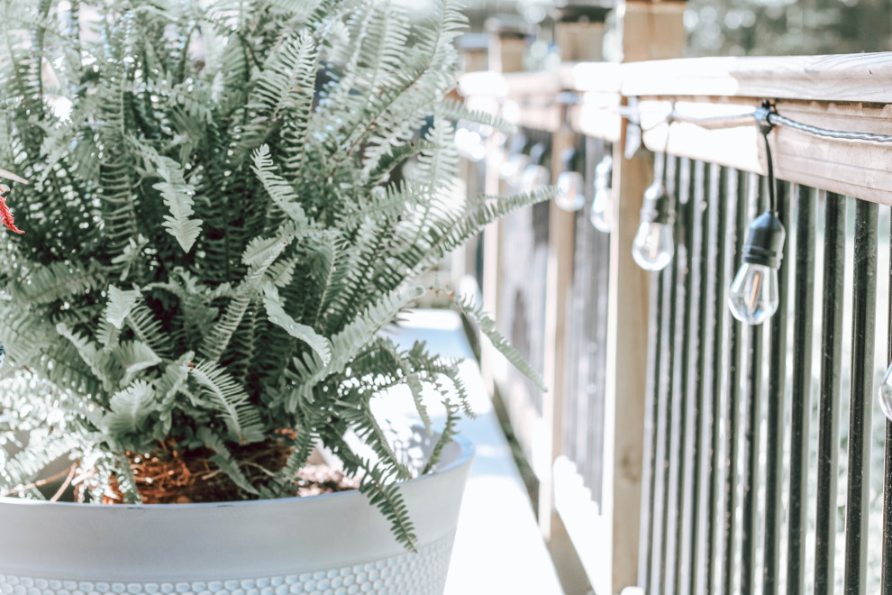New Shade and Color for outdoor living space