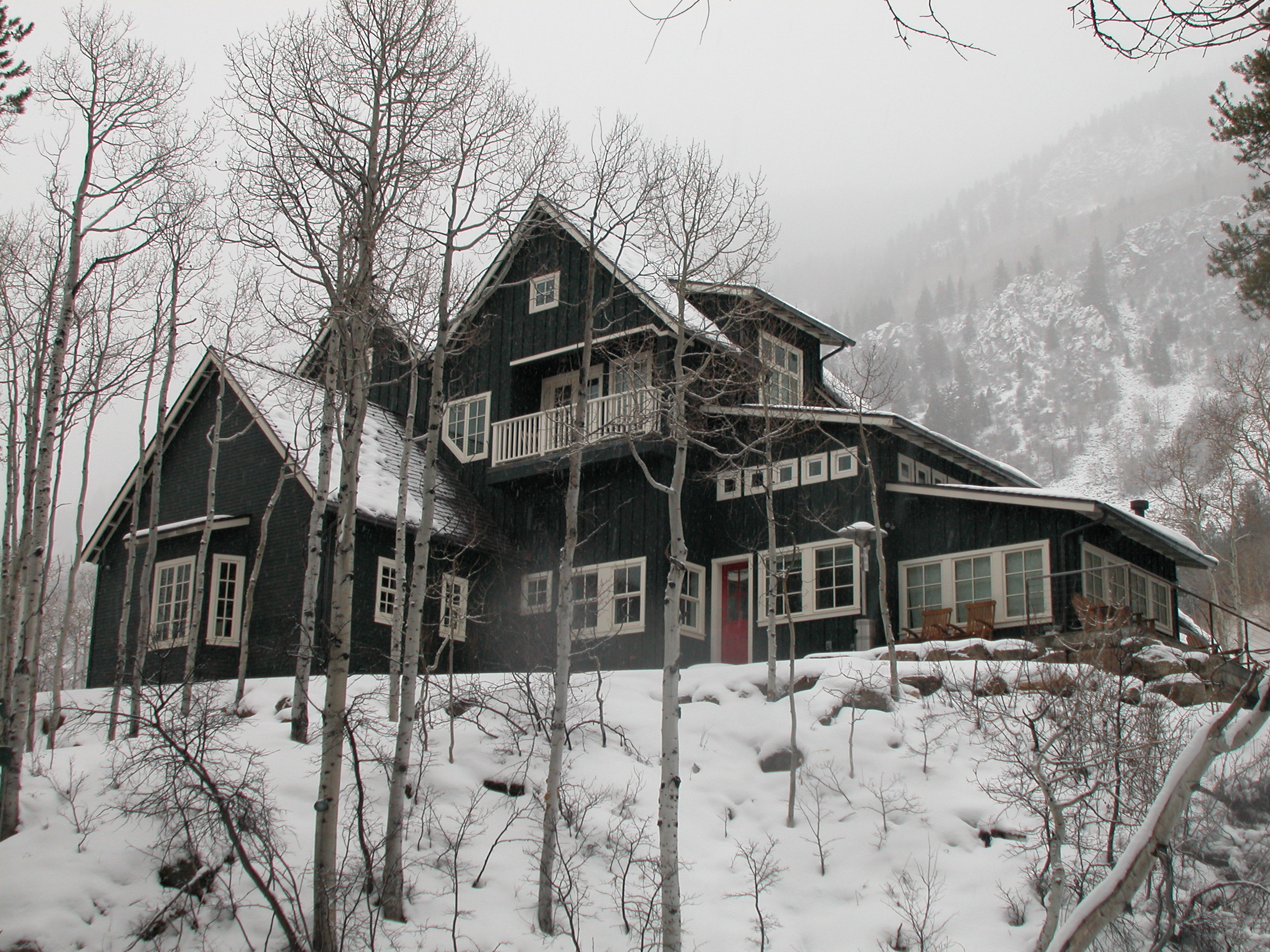 Mountain Estate in Aspen