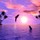 allyson_anderson1710642