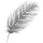webuser_301980570