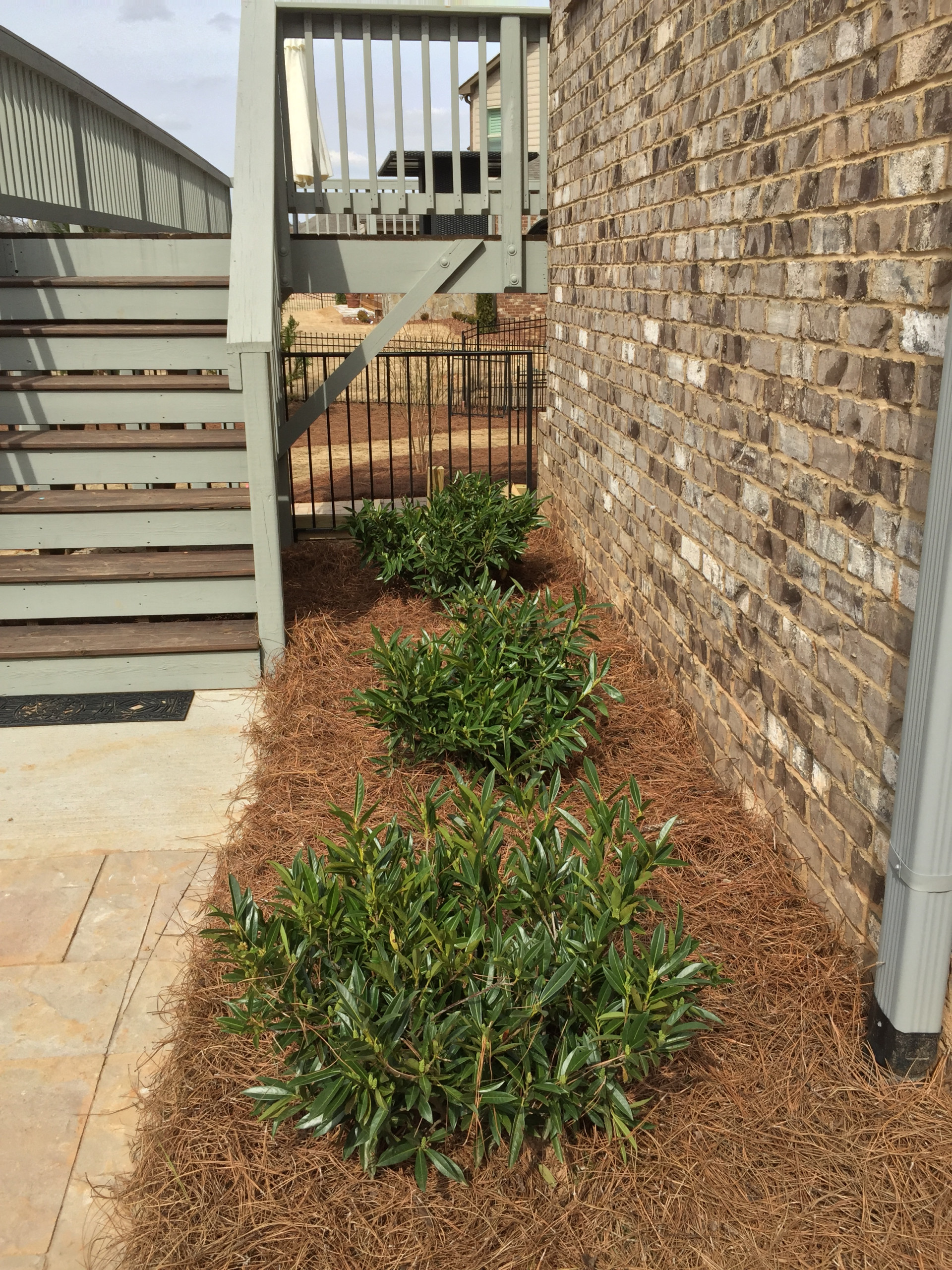 Alpharetta Yard Enhancements