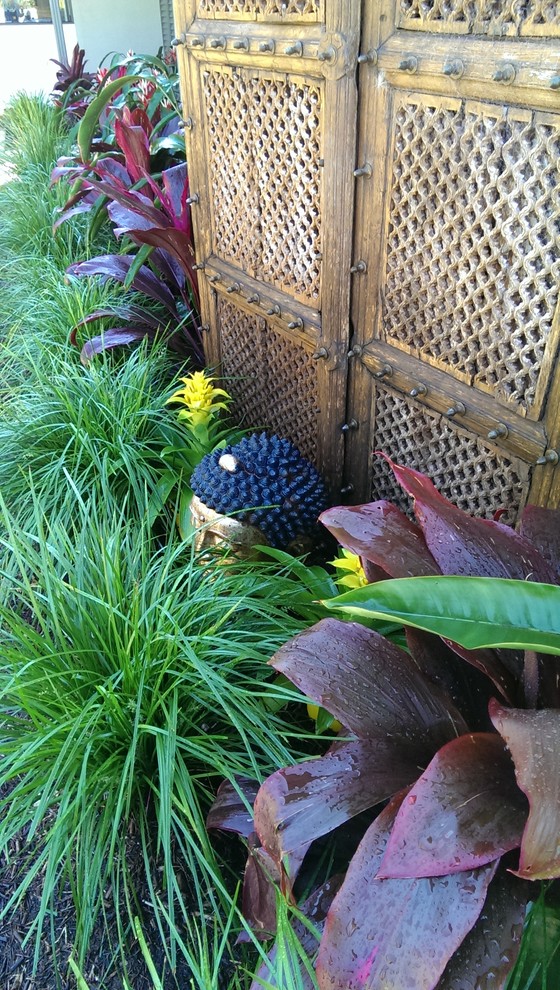 Design ideas for a tropical garden in Brisbane.