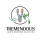 Tremendous Lawn Mowing Services