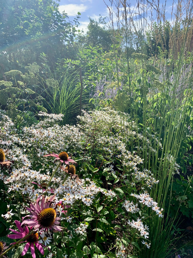 Idée de décoration pour un jardin arrière champêtre l'été avec un massif de fleurs.