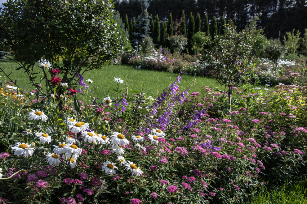 Сосновые берега