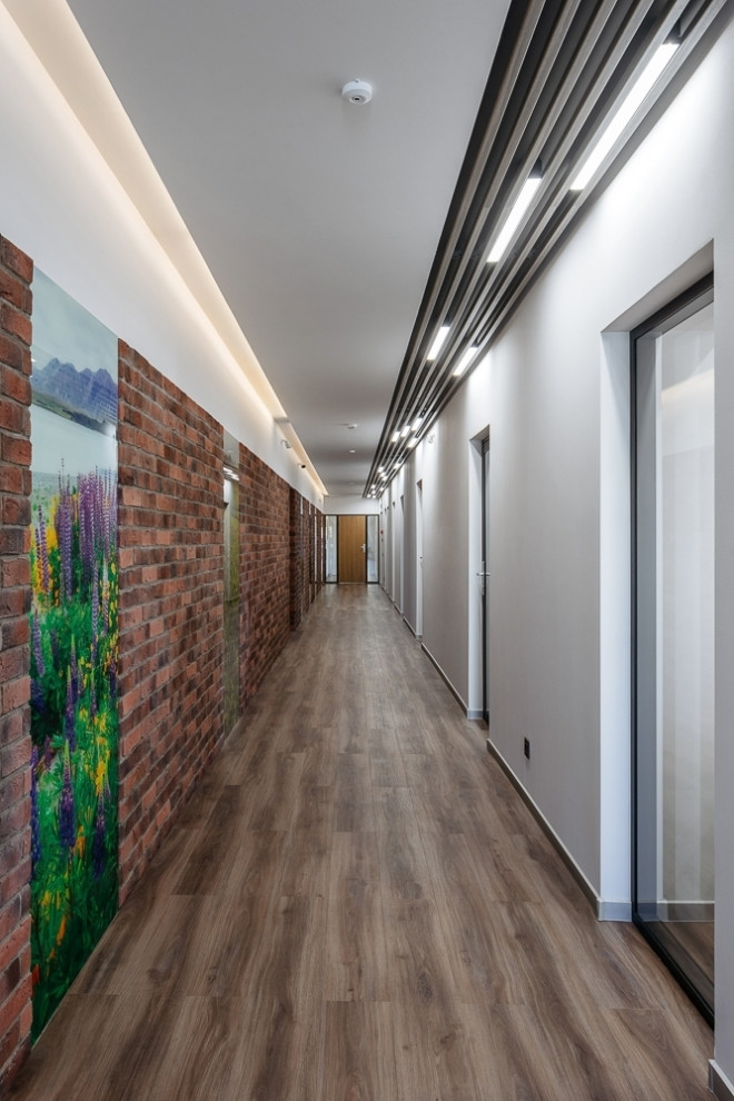 Office of the Developer Company "Termex"