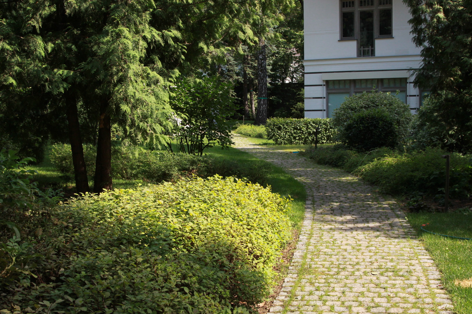 Сад в Серебрянном Бору