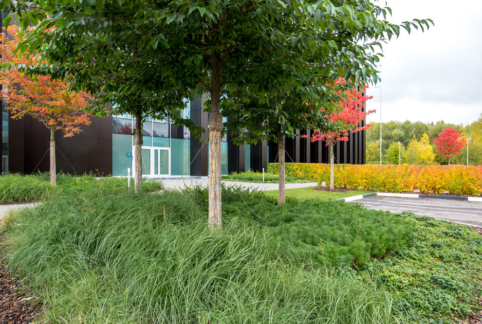 Крылатские холмы