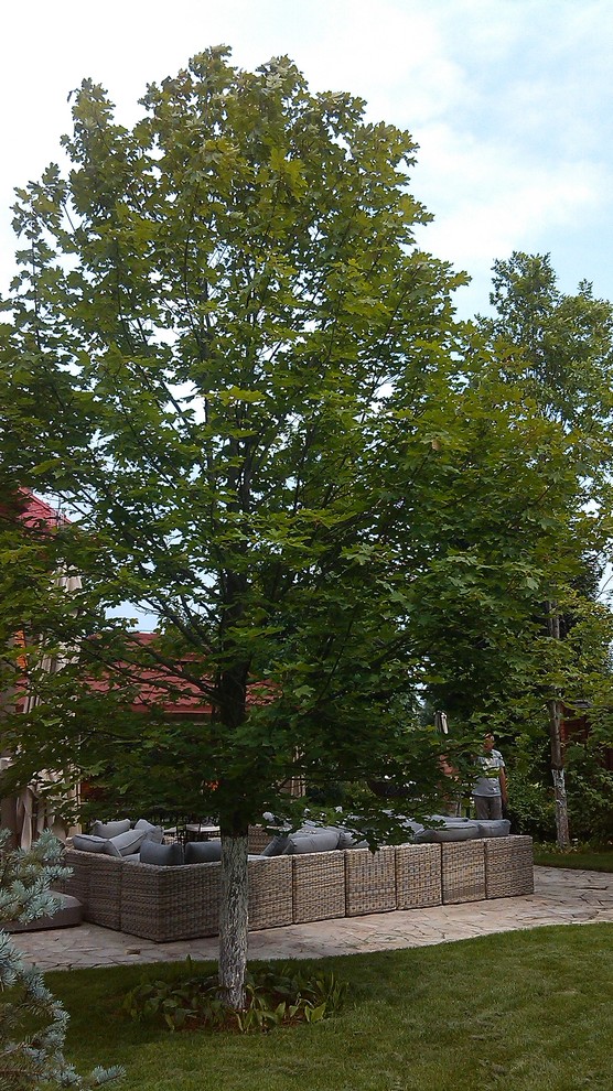 Домик среди старых дач