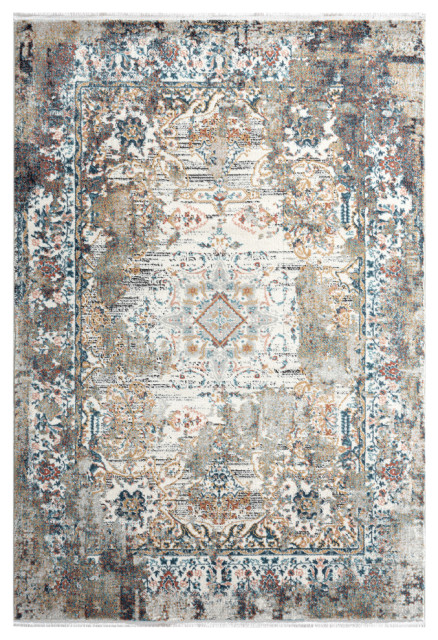Abani Rugs Azure AZR200A Blue and Grey Vintage Area Rug, 6 x 9 x 0.4 ...