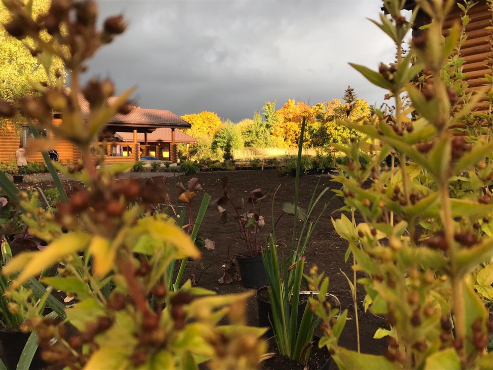 Русские Забавы. начало посадок, октябрь 2017