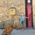 webuser_150239183