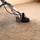Water Damage Carpet Drying Adelaide