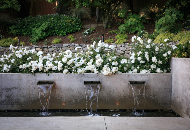 Thackeray contemporary-garden