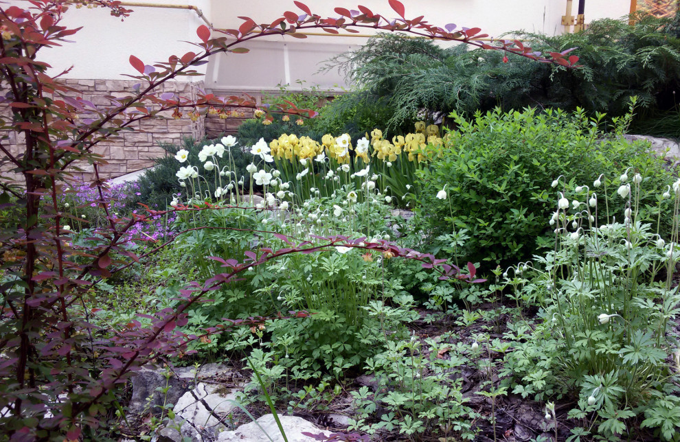 Сосновый бор