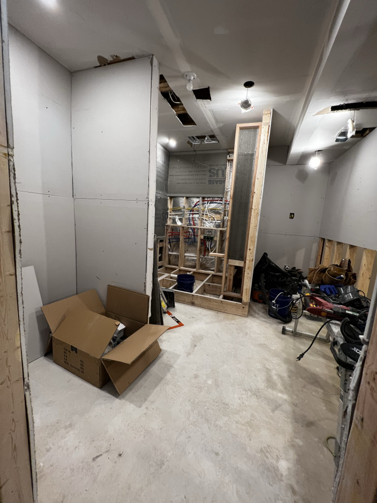 Basement Remodel