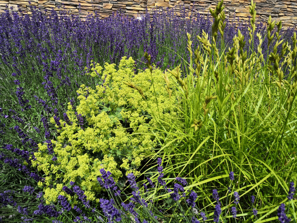 Маленький внутренний дворик