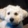 mary_gardner78