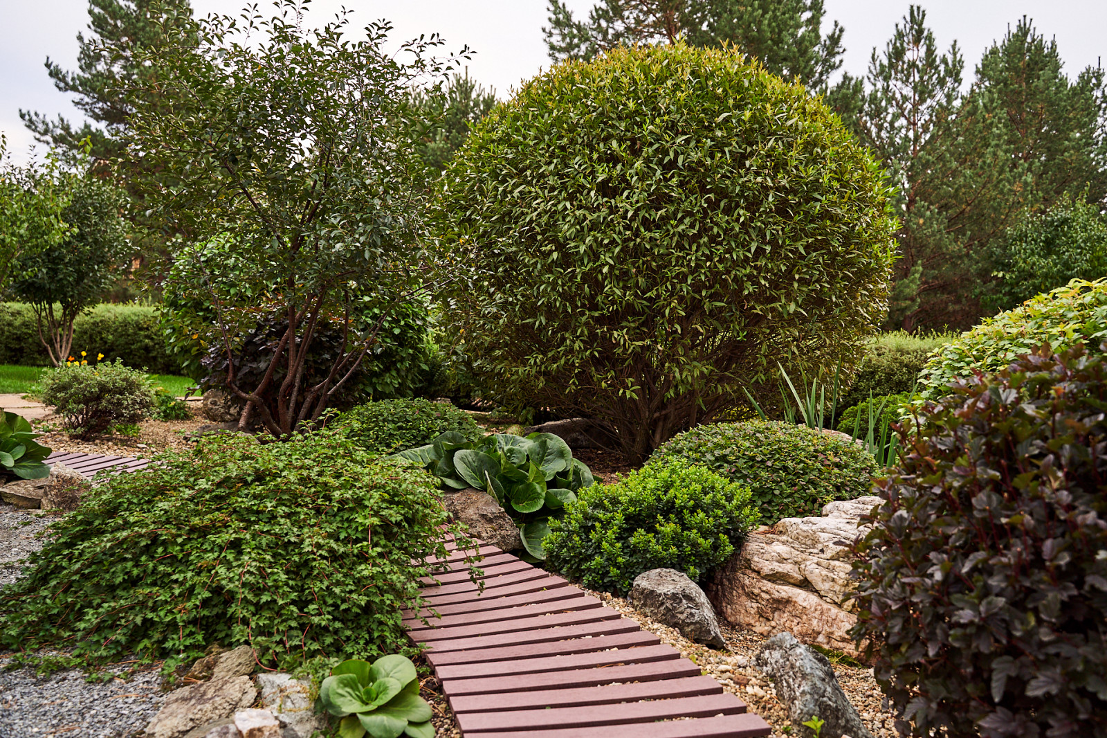 Японский садик "Живи,созерцая..."