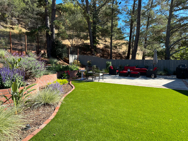 Artificial Turf midcentury-patio