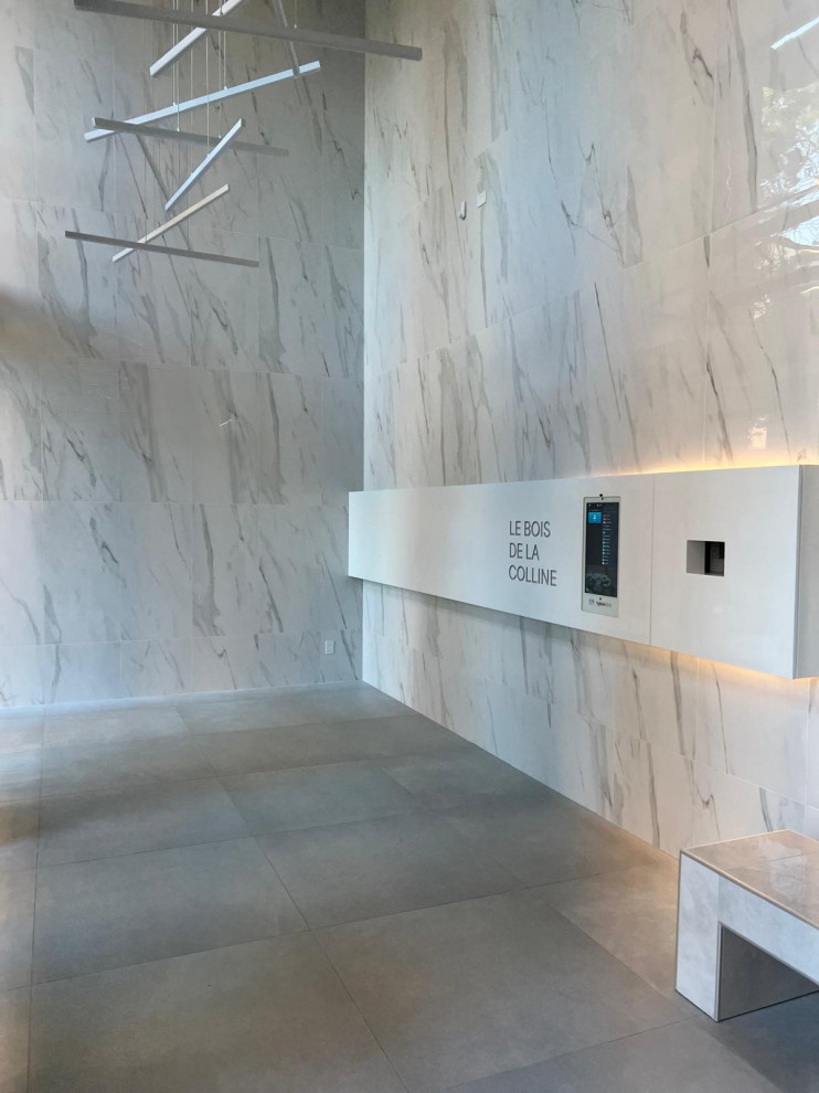 Commercial Project- Vestibule Reno