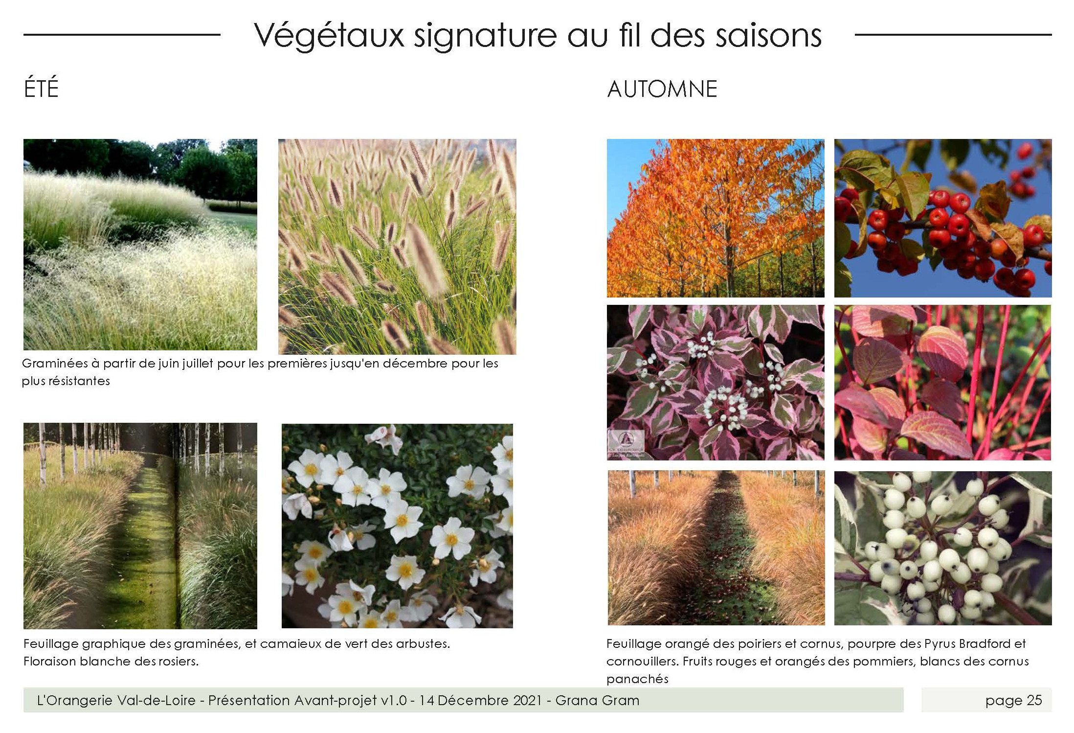 Palette végétale au fil des saisons