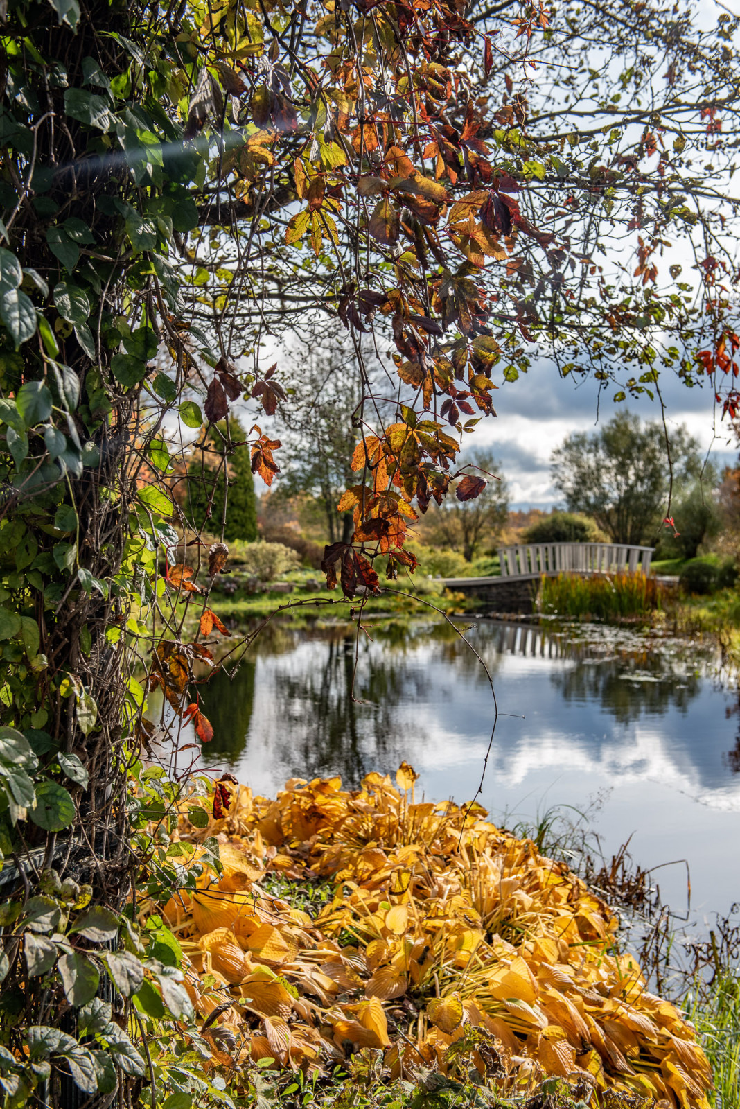 Ореховно. Музей-Усадьба.
